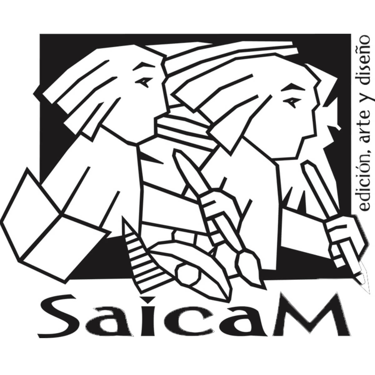 playfulscience.saicamead.com